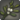 Splendid greenwattle icon1.png