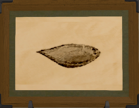 Black Sole print.png