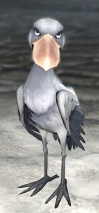 Shoebill1.jpg