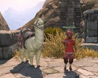 Alpacakeep (Worlar's Echo).jpg