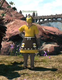 Chocobokeep Ala Gannha npc.png