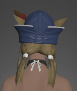 True Blue Hat rear.png