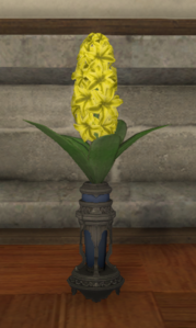 Yellow Hyacinths.png