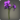 Purple cattleyas icon1.png