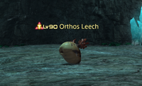 Orthos Leech.png