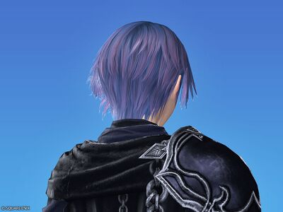 Voidswept Strands hairstyle2.jpg