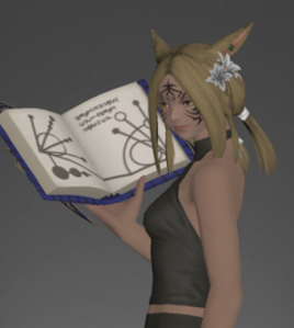 Pupil's Leather Grimoire inside.png