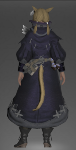 Sorcerer's Coat rear.png