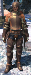 Seasoned Adventurer (Hyur).png