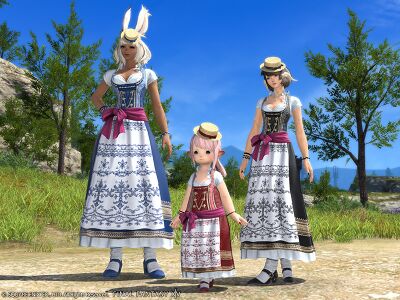 Dirndl's Attire img4.jpg