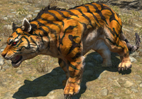 Rainbow Tiger.png