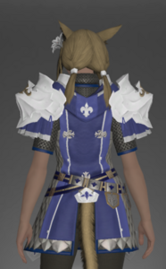 Valor Surcoat rear.png