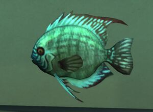 Discus Aquarium.jpg