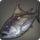 Meteoric bonito icon1.png