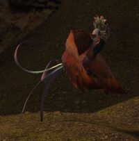 Bird of Barathrum.jpg