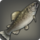 Urqotrout icon1.png