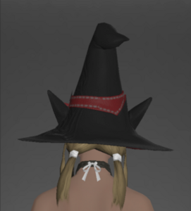 Altered Felt Hat rear.png