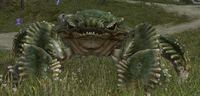 Megalocrab1.png