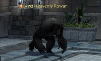 Heavenly Rowan.png