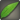 Ratanhia leaves icon1.png