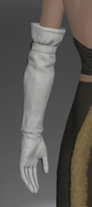 Cauldronmaster's Gloves rear.png