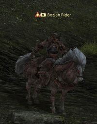 Bozjan Rider.jpg