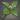 Fine fibrous plants icon1.png