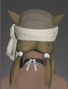 Woolen Turban rear.png