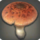 Moss Fungus Cap icon.png