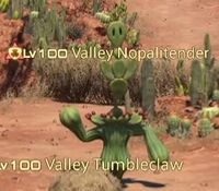 Valley Nopalitender.jpg