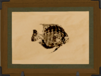 Thavnairian Leaf print.png