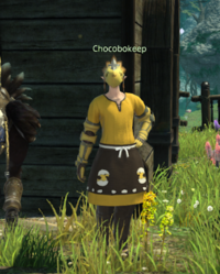 Chocobokeep Camp Cloudtop npc.png