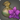 Cattleya seeds icon1.png