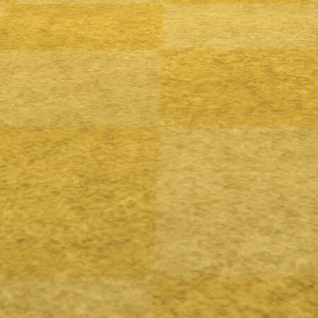 Carpeting detail.jpg