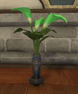 Green Arums.png