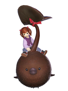 Chocopokkur1.png