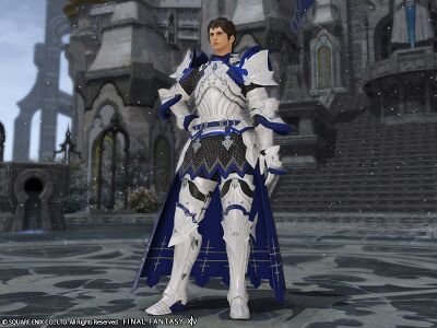 Ward Knight's Attire img1.jpg