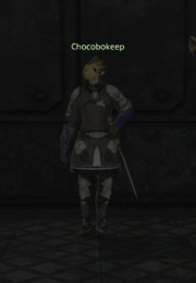 Chocobokeep Regio Urbanissima.png