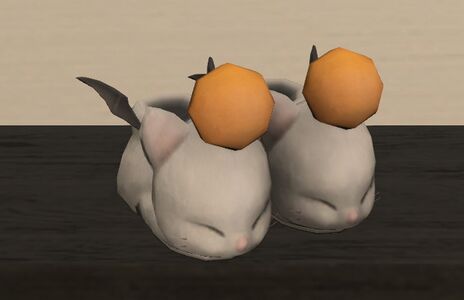 Misplaced-mog-slippers.jpg