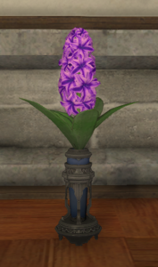 Purple Hyacinths.png