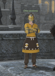 Chocobokeep Falcon's Nest npc.png