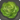 Iceberg lettuce icon1.png