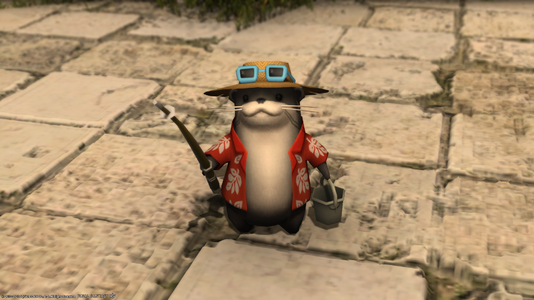 Abroader otter1.png