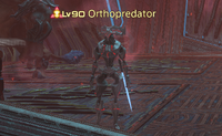 Orthopredator.png