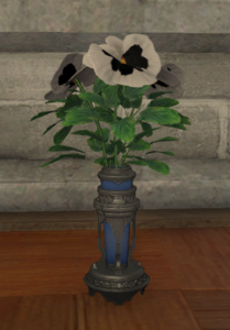 White Violas.png