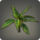 Aloalo island palm icon1.png