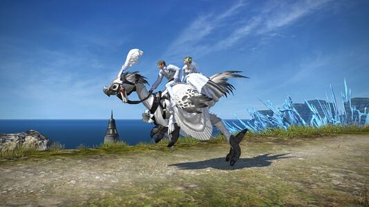 Ceremonial chocobo1.jpg