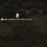 Leathervine Microchu.png