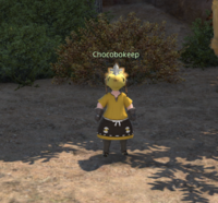 Chocobokeep Black Bush Station.png