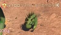 Valley Barbmole.jpg